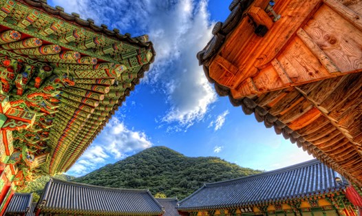 Tỉnh Tỉnh Jeollanam thuộc Hàn Quốc miễn visa cho khách Việt Nam. Ảnh: Hữu Long