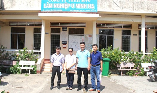 Công ty TNHH MTV U Minh Hạ Cà Mau là 1 trong 9 cơ quan, đơn vị bốc thăm chọn cán bộ để kiểm tra việc kê khai tài sản. Ảnh: Nhật Hồ