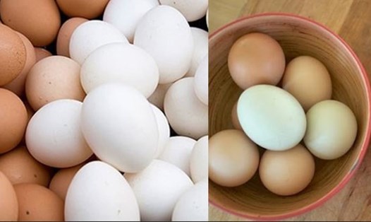 Để phòng nhiễm virus H5N1, bạn không nên ăn trứng sống. Đồ hoạ: Việt Anh