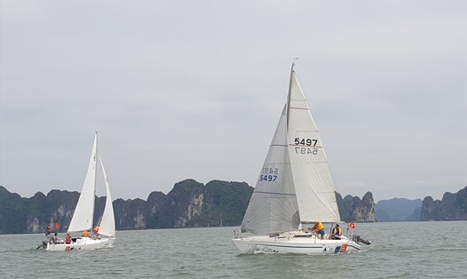 Đua thuyền buồm trên vịnh Hạ Long. Ảnh: Nguyễn Hùng