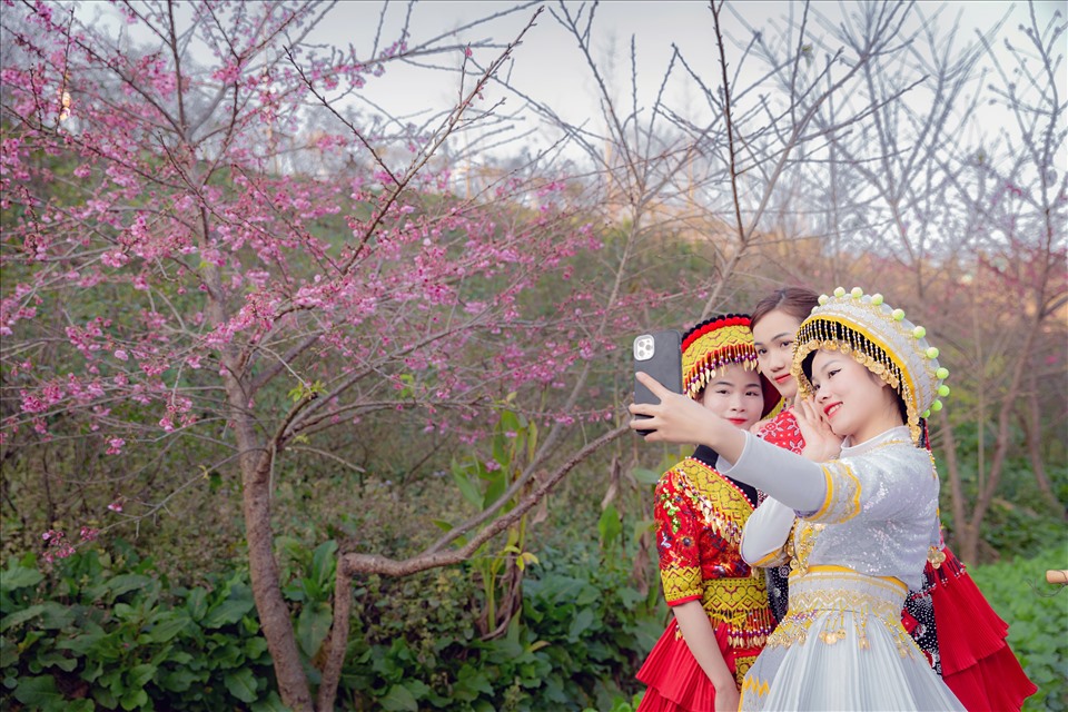 Du khách thích thú checkin bên cây hoa đào nở rộ tại Fansipan. Ảnh: Hà