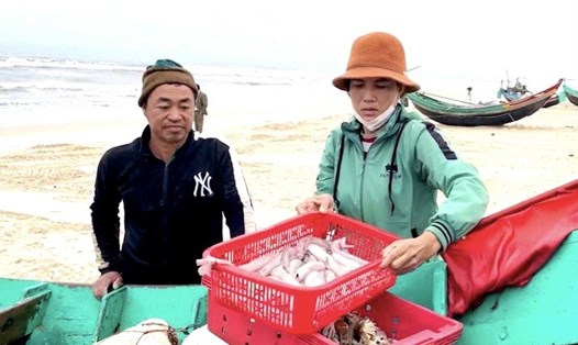 Ngư dân xã Hải Ninh vui mừng đưa cá lên bờ để bán sau chuyến ra biển bội thu. Ảnh: Đức Tuấn