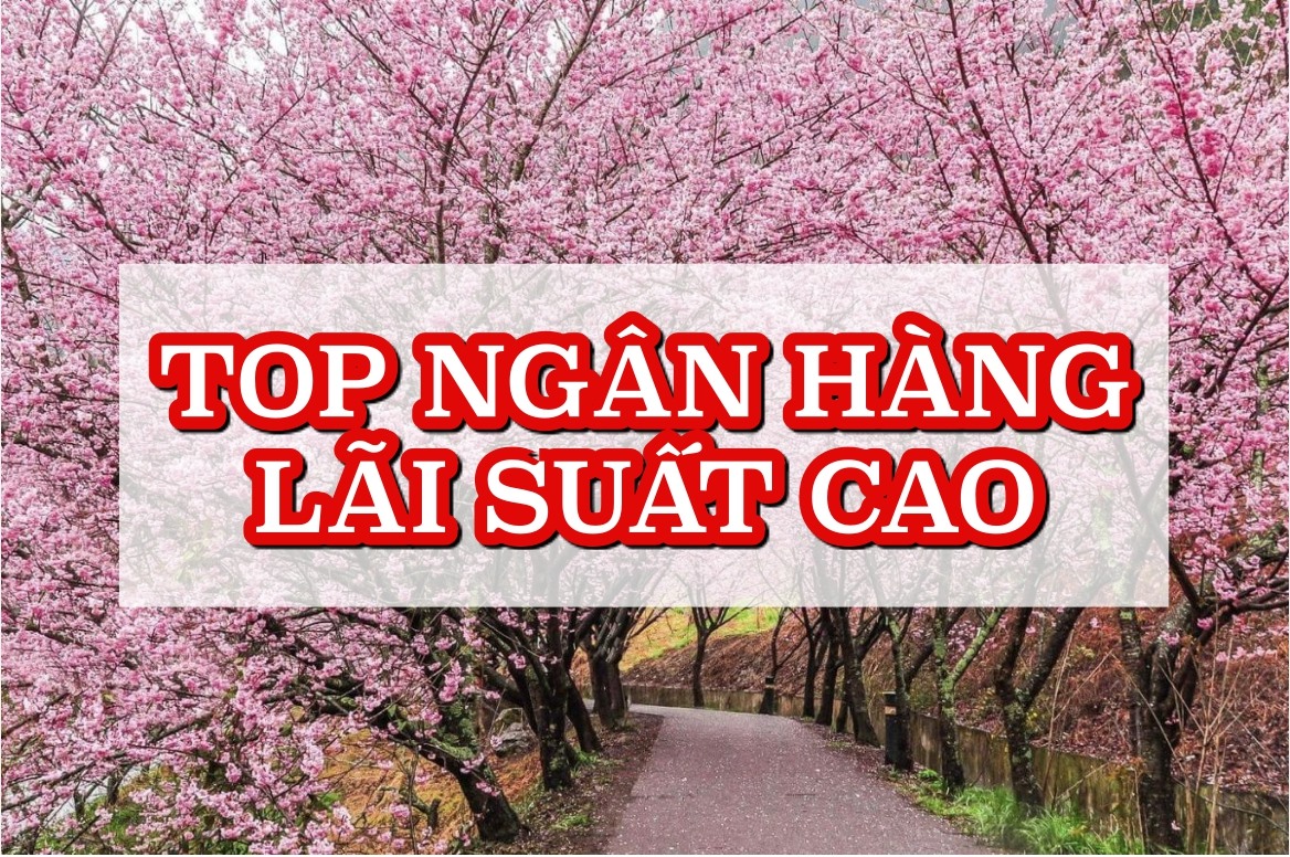 Lãi suất ngân hàng hôm nay 4.2: Trọn bộ top ngân hàng lãi cao nhất tháng 2