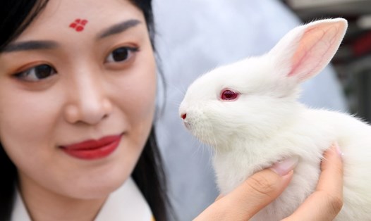 Hoạt động kinh doanh thỏ con dự kiến phát triển mạnh ở Trung Quốc trong năm nay. Ảnh: Xinhua
