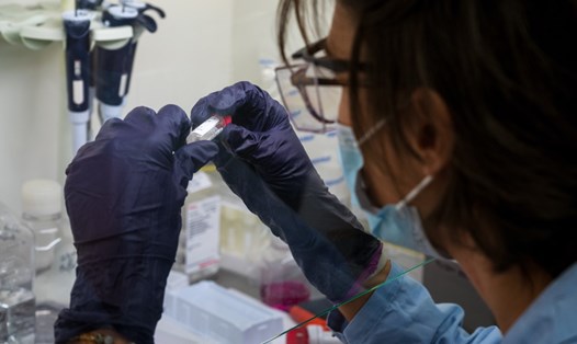 Công ty công nghệ sinh học Transgene ở Pháp đang nghiên cứu phát triển vaccine kháng nguyên ung thư. Ảnh: AFP