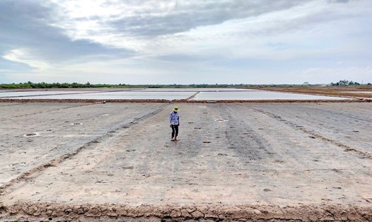 Cho đến nay, địa phương có diện tích sản xuất muối lớn nhất nước vẫn chưa thu hoạch được hạt muối nào. Ảnh: Nhật Hồ