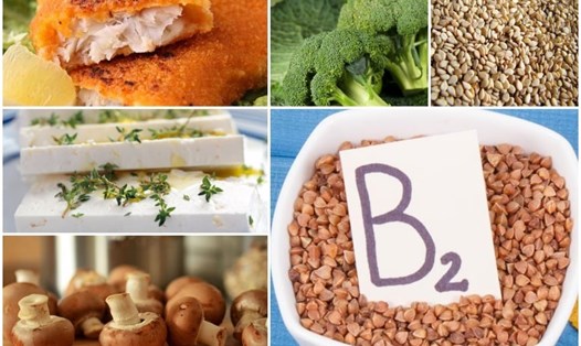 Vitamin B2 có vai trò quan trọng trong việc duy trì sức khỏe. Đồ hoạ: Ánh Nhiên