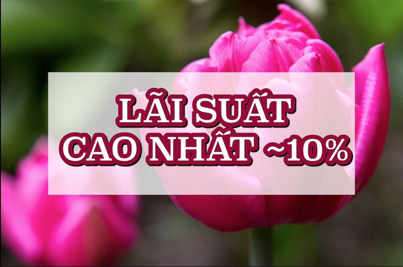 Lãi suất ngân hàng hôm nay 11.2: Lãi suất cao nhất gửi tiết kiệm tháng 2