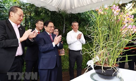 Thủ tướng Phạm Minh Chính và Phu nhân gắn biển tên cho cây hoa lan mang tên Pham Le Tran Chinh. Ảnh: TTXVN