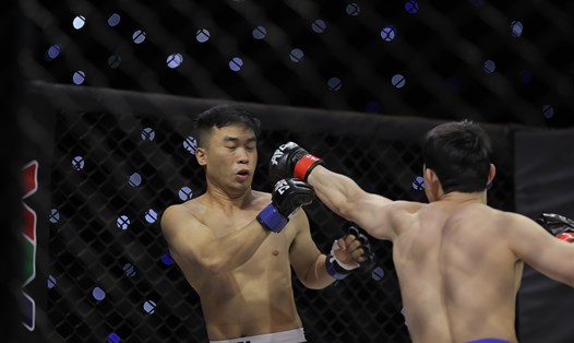 Võ sĩ MMA Việt Nam Hoàng Nam Thắng bị đối thủ của Hàn Quốc dồn ép trong trận đấu. Ảnh: Phong Lê