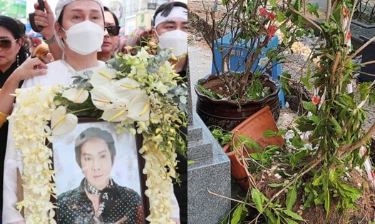 Gia đình Vũ Linh xin lỗi và nhận sửa lại phần mộ cố nghệ sĩ Thanh Kim Huệ. Ảnh: Thanh Vũ, cắt clip.