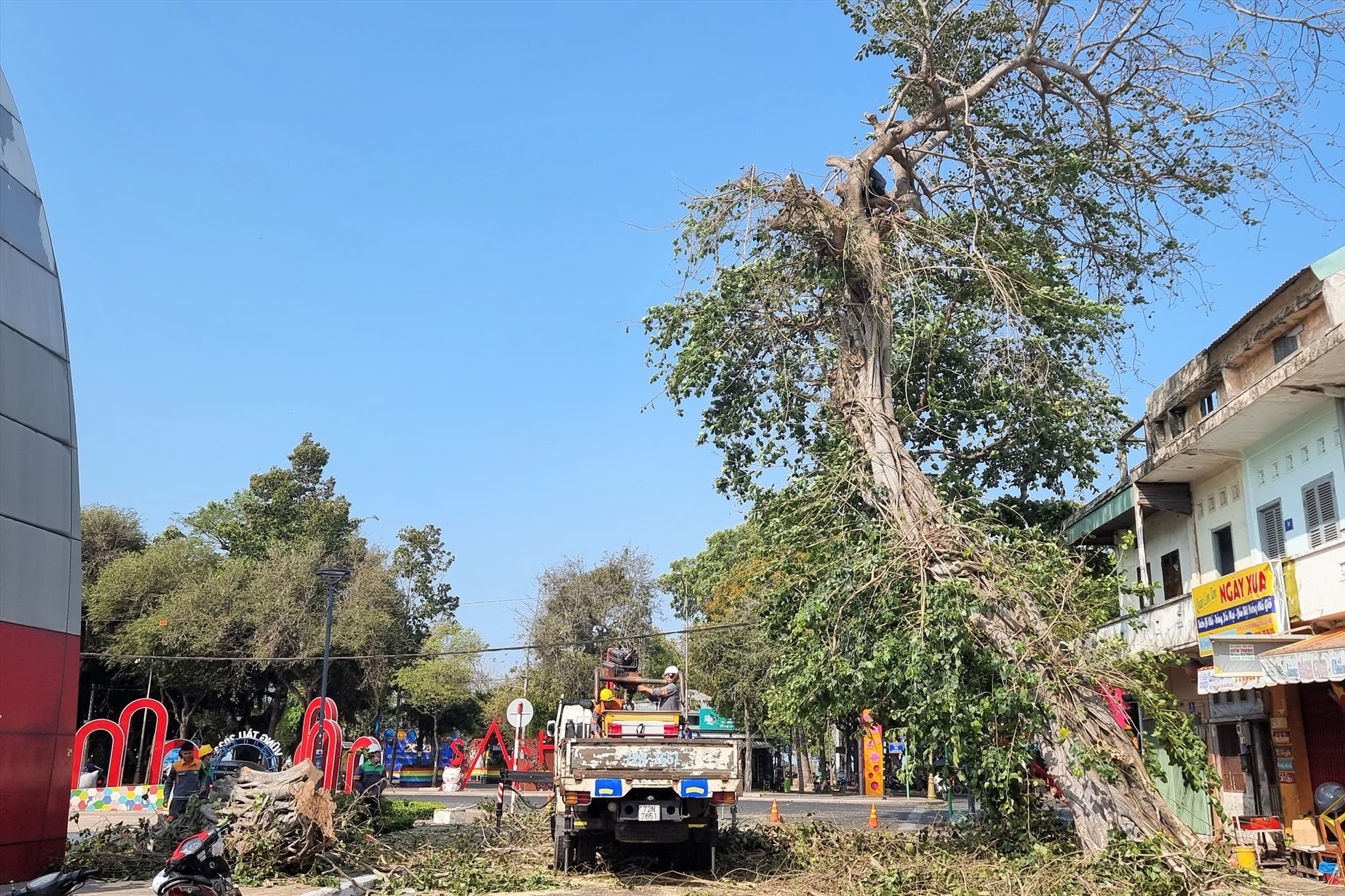 Sau khi dọn dẹp cây cổ thụ bị đổ, cây cổ thụ bên cạnh được hạ độ cao và cắt tỉa để giữ an toàn cho khu vực. Ảnh: Thành An