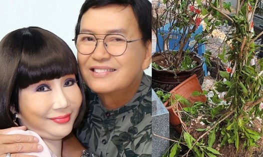 Nghệ sĩ Thanh Điền xin từ chối lời đề nghị sửa phần mộ vợ mình từ gia đình cố nghệ sĩ Vũ Linh. Ảnh: Chương trình cung cấp, cắt clip.