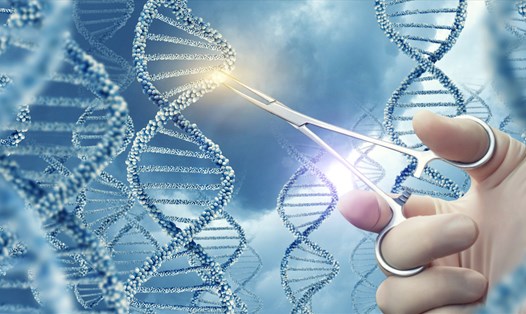 Công nghệ chỉnh sửa gene người đạt được những thành tựu không tưởng trong y học. Ảnh: WHO