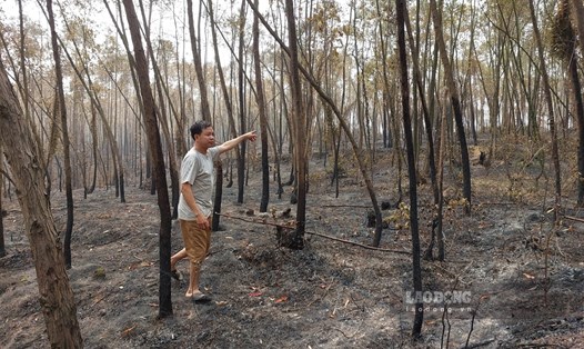 Vụ cháy đã gây thiệt hại cho nhiều hộ dân xã Thanh Uyên, huyện Tam Nông. Ảnh: Tô Công.