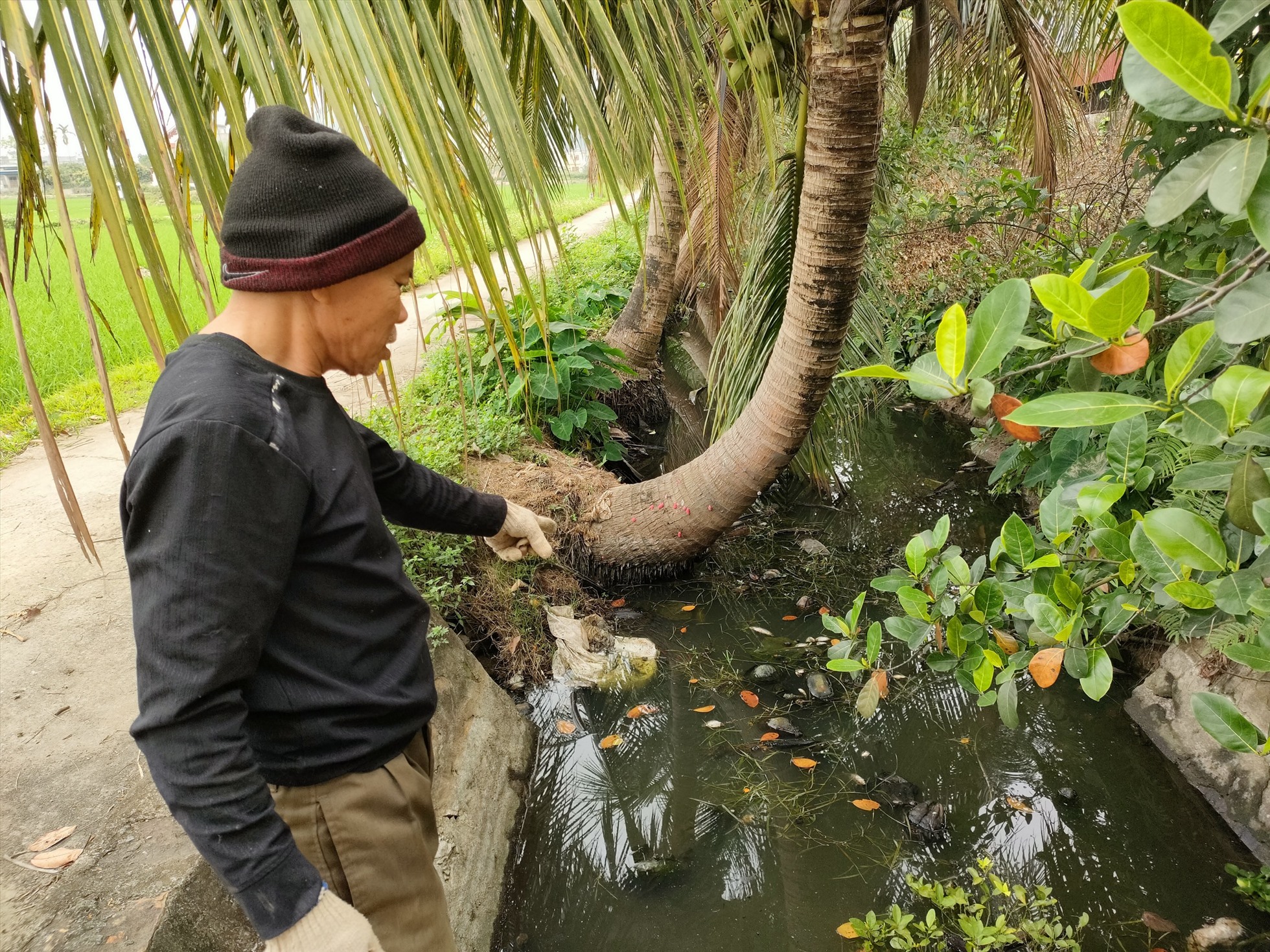 Kênh ô nhiễm "không lối thoát" gây bức xúc hàng trăm hộ dân ở Hải Phòng