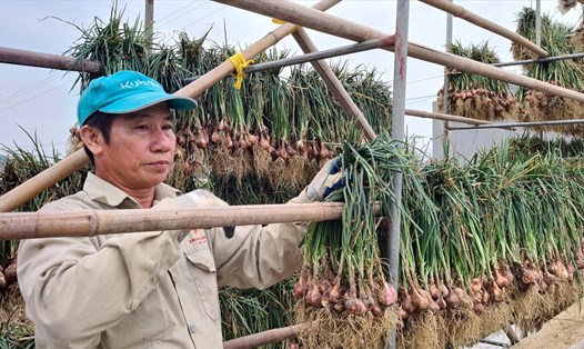 Chương trình mỗi xã một sản phẩm trong xây dựng nông thôn mới đã giúp nông dân Hải Dương làm giàu. Ảnh: Vũ Long