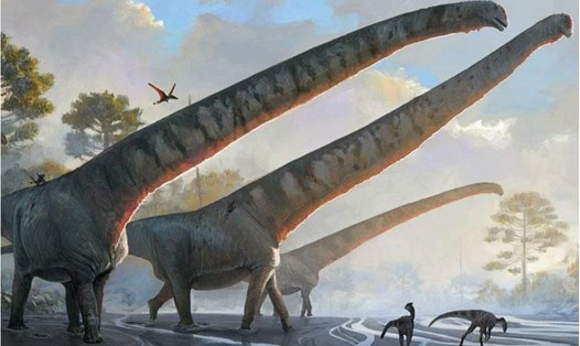 Mô phỏng khủng long Mamenchisaurus cổ dài hơn 15m. Ảnh: Bảo tàng Lịch sử Tự nhiên Mỹ