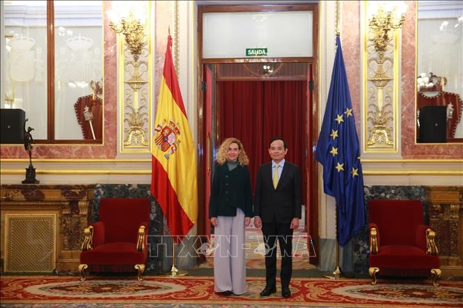 Phó Thủ tướng Chính phủ Trần Lưu Quang hội kiến Chủ tịch Hạ viện Tây Ban Nha Meritxell Batet. Ảnh: TTXVN
