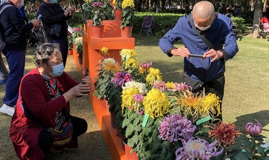 Người cao tuổi thưởng hoa tại một công viên ở Thượng Hải, Trung Quốc. Ảnh: Xinhua