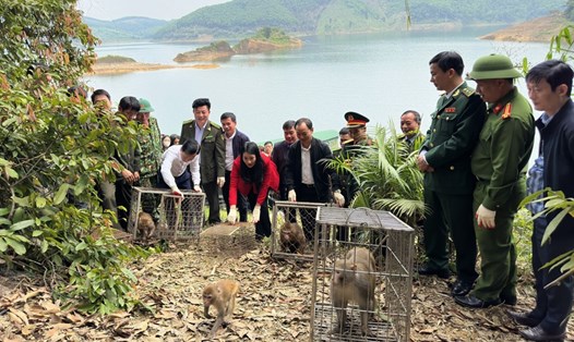 Thả 43 cá thể động vật hoang dã về Vườn  Quốc gia Vũ Quang. Ảnh: Trần Tuấn.