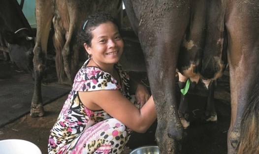 Hộ bà Lâm Mỹ Hạnh thoát nghèo nhờ được vay vốn nuôi bò sữa và hỗ trợ nhà ở. 
Ảnh: VĂN SỸ