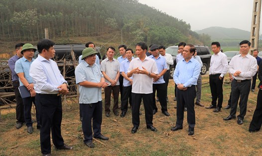 Đoàn công tác khảo sát hộ trồng rừng tại huyện Sơn Dương, Tuyên Quang. Ảnh: Thành Trung