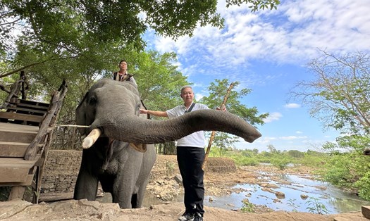 Du khách chụp hình thân thiện, vui vẻ cùng voi. Ảnh: Tài Đại