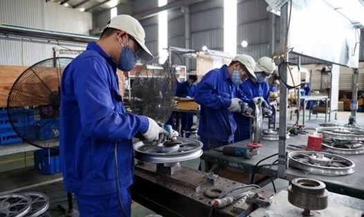 Công nghiệp hỗ trợ của Việt Nam có nghĩa sống còn với ngành sản xuất. Ảnh: Hải Nguyễn