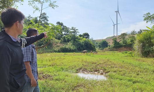 Đất ở dự án điện gió vùi lấp, khiến ruộng lúa nước của người dân ở xã Húc, huyện Hướng Hóa, tỉnh Quảng Trị phải bỏ hoang 2 năm nay. Ảnh: Hưng Thơ.