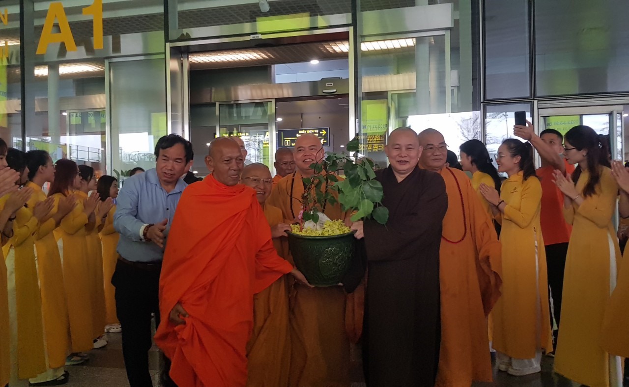 Nhánh Cây bồ đề Thiêng được chiết từ "Cây bồ đề Vĩ Đại Cát Tường" được đưa từ Sri Lanka về trồng tại chùa Bái Đính (Ninh Bình). Ảnh: Nguyễn Trường