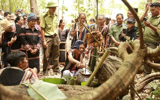Thông qua nghi lễ cúng Thần Rừng, người dân cũng như các lực lượng chức năng làm nhiệm vụ quản lý bảo vệ rừng tại đây mong muốn Thần rừng che chở, phù hộ cho mưa thuận gió hòa, cho nước để sản xuất, cho cây để làm nhà, bảo vệ cho dân làng được an toàn. Ảnh: TTXVN