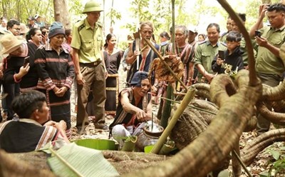 Thông qua nghi lễ cúng Thần Rừng, người dân cũng như các lực lượng chức năng làm nhiệm vụ quản lý bảo vệ rừng tại đây mong muốn Thần rừng che chở, phù hộ cho mưa thuận gió hòa, cho nước để sản xuất, cho cây để làm nhà, bảo vệ cho dân làng được an toàn. Ảnh: TTXVN