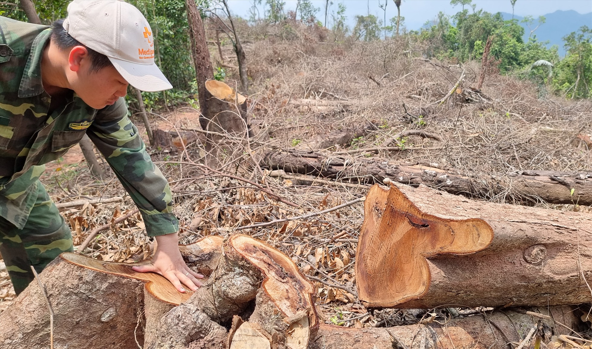 Vụ phá rừng ở Quảng Trị: Kỷ luật một số cán bộ sau phản ánh của Lao Động