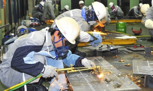 Cục Quản lý lao động ngoài nước vừa ban hành một số thông tin về thay đổi chính sách đưa lao động kỹ thuật đi làm việc tại Hàn Quốc ngành đóng tàu. Ảnh minh hoạ: Cục Quản lý lao động ngoài nước