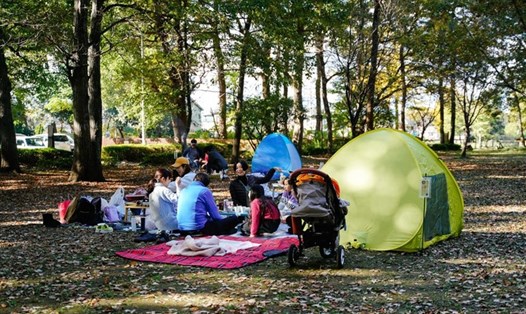 Công viên Chikozen ở Saitama, Nhật Bản. Ảnh: Xinhua