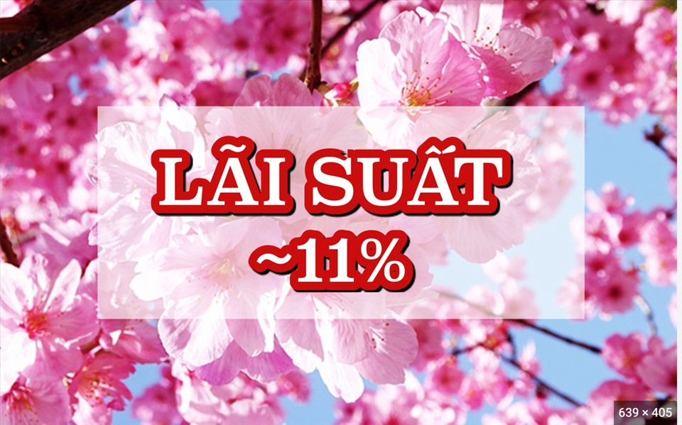 Lãi suất ngân hàng hôm nay 3.4: Xuất hiện ngân hàng có lãi suất gần 11%