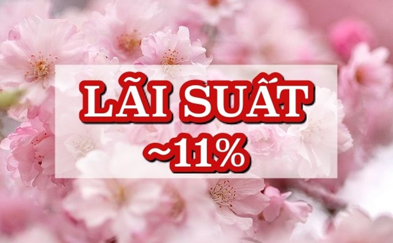 Lãi suất ngân hàng hôm nay. Đồ hoạ: Hương Nguyễn