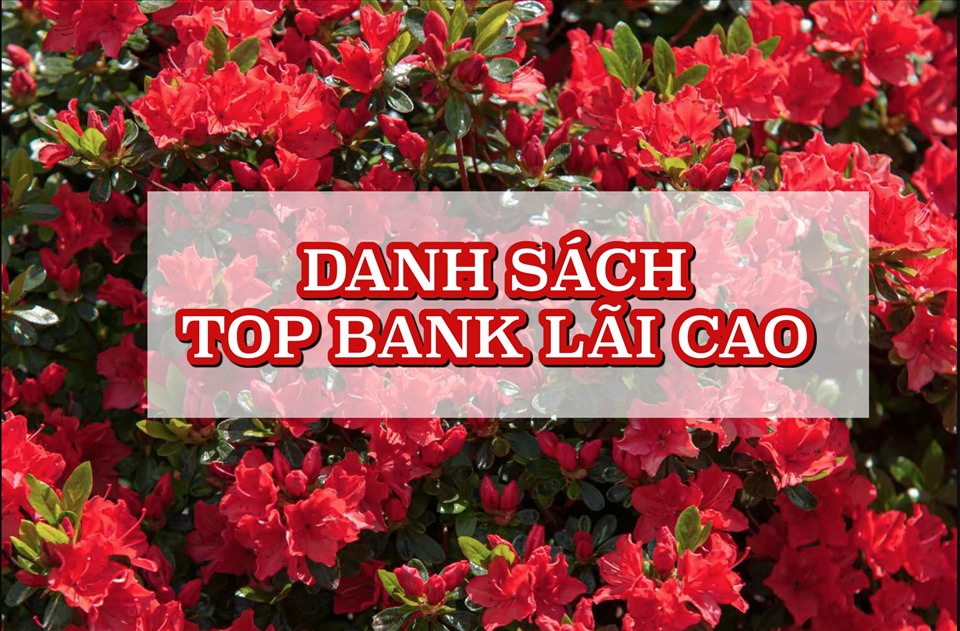 Lãi suất ngân hàng hôm nay 19.4: Cập nhật danh sách top lãi cao nhất ...