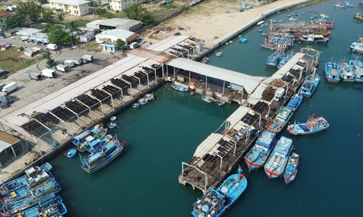 Bình Định đồng ý chủ trương cải tạo, sửa chữa cảng cá Đề Gi. Ảnh: Hoài Luân