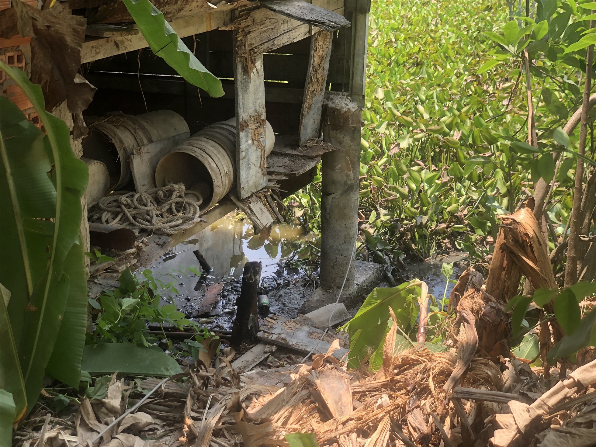 Khu vực ao cá nơi phát hiện ông H tử vong. Ảnh: An Long