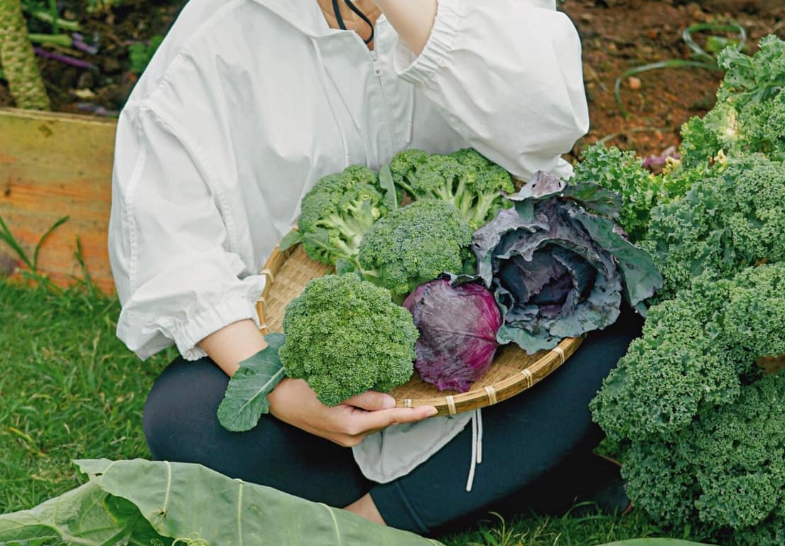 Bắp cải tím và súp lơ đều là những loại rau tốt cho làn da của bạn. Ảnh: Hoàng Việt Anh