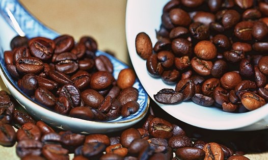 Việt Nam là quốc gia sản xuất cà phê robusta lớn nhất thế giới. Ảnh: Vietnam Coffee Group