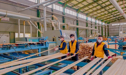 Cục Quản lý lao động ngoài nước cho biết, quý 4.2022, người lao động đi làm việc tại  Đài Loan (Trung Quốc) là 14.014 lao động, thị trường Hàn Quốc cũng thu hút đông lao động Việt Nam sang làm việc. Ảnh minh hoạ: Minh Phương.