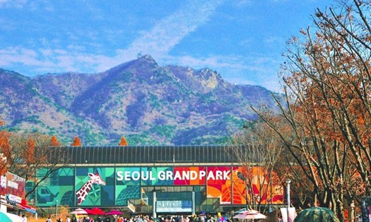 Seoul Grand Park. Ảnh: @seung___d