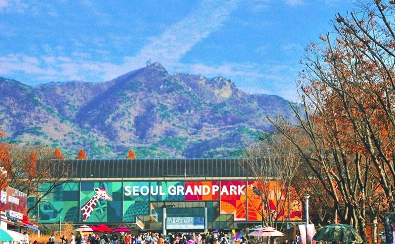 Seoul Grand Park. Ảnh: @seung___d