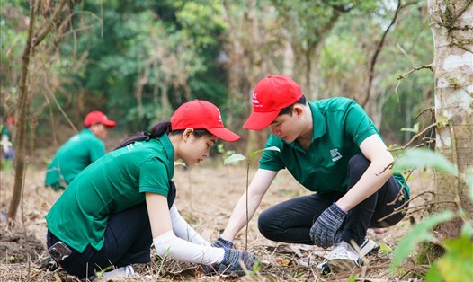 Nestlé Việt Nam cùng người tiêu dùng trải nghiệm hoạt động trồng rừng tại  Vườn Quốc Gia Cúc Phương. Ảnh: Doanh nghiệp cung cấp