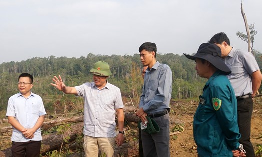 Phó Chủ tịch UBND tỉnh Đắk Nông Lê Trongh Yên chỉ đạo các ngành chức năng, địa phương cần kiên quyết xử lý tình trạng lấn chiếm làm nhà ở trái phép trên đất lâm nghiệp. Ảnh: Đức Hùng