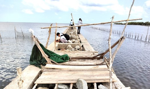 Người dân đã tháo dỡ phần lều trại, tuy nhiên, vẫn còn dấu vết lưới, cây khu vực nuôi sò huyết xung quanh kè chắn sóng. Ảnh: Nhật Hồ