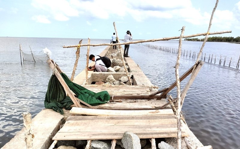 Người dân đã tháo dỡ phần lều trại, tuy nhiên, vẫn còn dấu vết lưới, cây khu vực nuôi sò huyết xung quanh kè chắn sóng. Ảnh: Nhật Hồ
